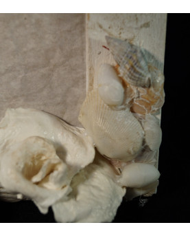 Cornice portafoto con Rose in Cartapesta e Conchiglie